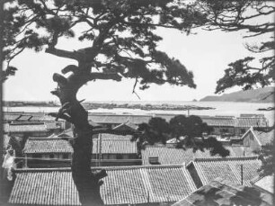Hafenansicht : Hafen in Busan
