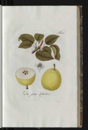 Tab. 110