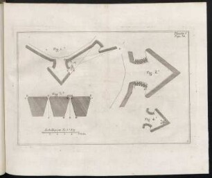 Planche 5. Page 34.