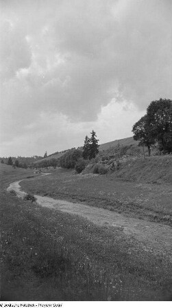 Ansicht einer Flusslandschaft im Harz