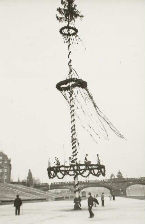Maibaum am Königsufer : Maibaum an den Treppen vor dem Finanzministerium. Blick zur Carolabrücke