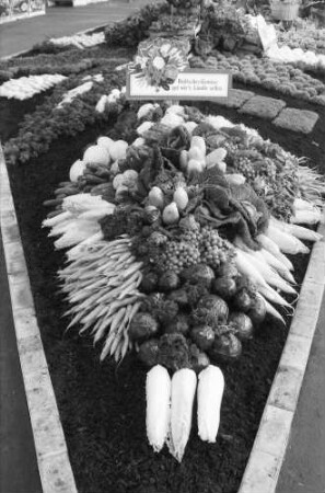 Freiburg: Stadthalle, Blumen- und Gartenausstellung, Gemüseschau