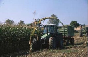 Fotografie: Ernteverfahren, Feldhäcksler selbstfahrend, Maissilage, Parallelverfahren, Ertragsmessung, Feldtest