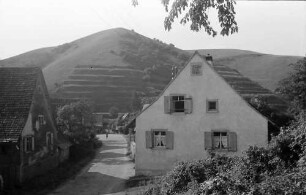 Vogtsburg: Badberg bei Vogtsburg