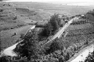 Ihringen: Neuer Serpentinenweg in den Weinbergen, von oben