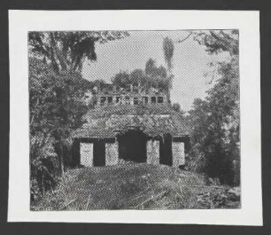 [91]: Palenque IV : Nordtempel, Inschriftentempel u.a. /Chiapas