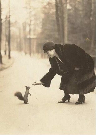 Dame füttert ein Eichhörnchen (Sciurus vulgaris)