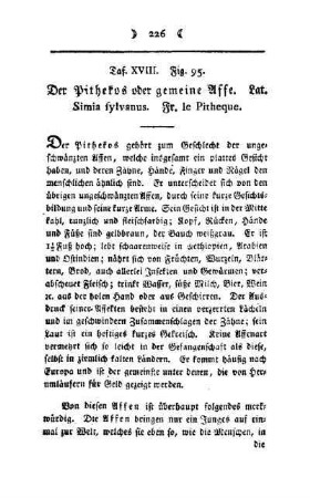 ¬Der¬ Pithekos oder gemeine Affe : Taf. XVIII, Fig. 95