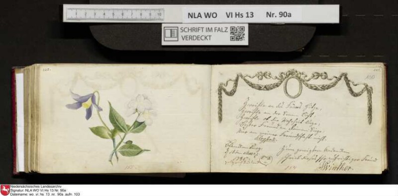 Stammbuch des Ernst Philipp Ludwig Zellmann (1763-1795) aus
                           Braunschweig