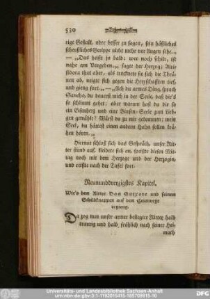 Neununddreyzigstes Kapitel. Wie's dem Ritter Don Quixote und seinem Schildknappen auf dem Heimwege ergieng.
