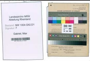 Entnazifizierung Max Gabriel , geb. 03.09.1894 (Strommeister)