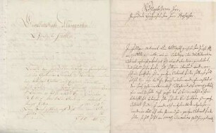 John Schlaff an Karoline Luise von Baden (Rastatt)