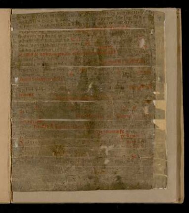 Rezeptsammlung (lat.).
