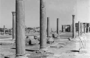 Die Ruinen von Leptis Magna : Blick auf die Ruinen von Leptis Magna
