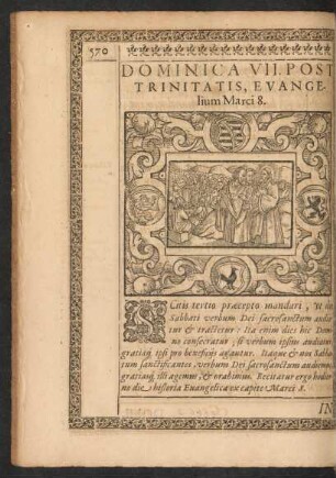 Dominica VII. Post Trinitatis Evangelium Marci 8.