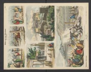 Bilder aus dem Alterthum: VIII. Griechenland