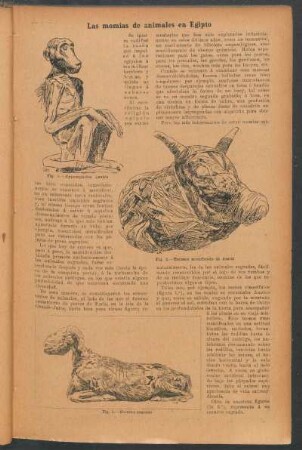 Las momias de animales en Egipto