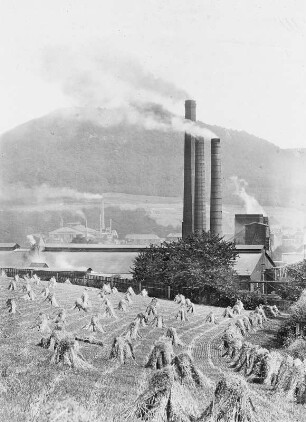 Freital, Gussstahlwerk Döhlen : Freital, Gussstahlwerk Döhlen. Ansicht über ein Getreidefeld mit Kornpuppen