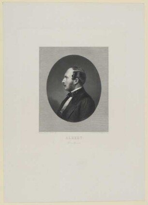 Bildnis des Albert