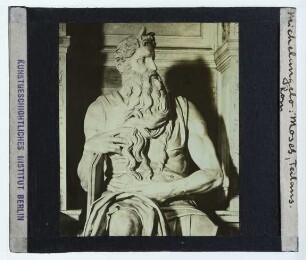 Michelangelo, Moses