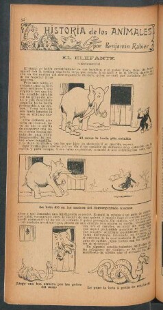 El elefante - (Continuación) : Historia de los animales