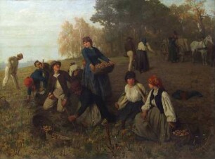 Kartoffelernte