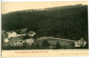 Hirschsprung. bei Altenberg