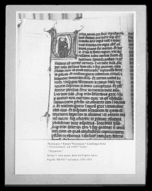 Lüneburger Bibel — Initiale V (erba amos), darin der Prophet Amos