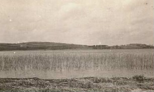 Schleswig-Holstein. Westensee südwestlich von Kiel mit Moräne