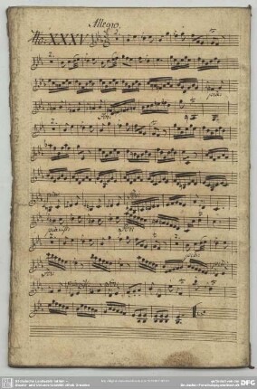 35. Graun, Johann Gottlieb, Sinfonien, GraunWV A:XII:14 <3. Allegro>