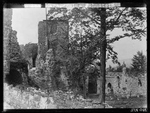 Harz, Ruine Hohnstein