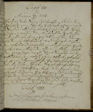 Caput VIII. De Composcito magno Secretorum nostrorum in Medicina Maximo.