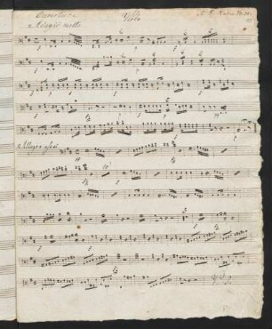 15-18 Viola