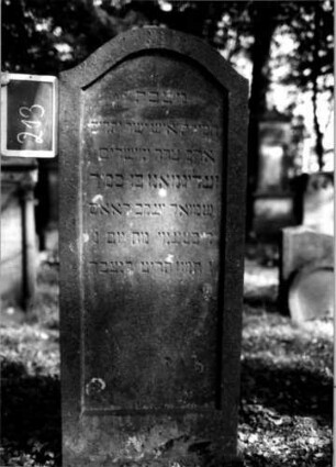 Grabstein 213 (Index: 100112183) Material: Sandstein Zustand: Rückseite abgeblättert Maße HxBxT: 147x60x13 cm Beschreibung: Stele, Konvexbogenabschluß, Schriftfeld eingetieft: Grabstein 213