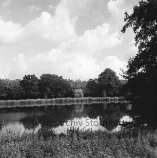 Mühlenteich: vorn Sträucher: am Ufer Bäume: hinten Mitte Häuser