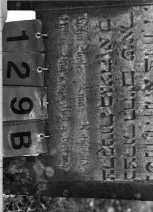 Grabstein 129 (Index: 99795616) Maße HxBxT: 90x51x9 cm Symbolik: Blüte Besonderheit: Kindergrab: Grabstein 129B