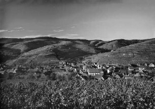 Archivfotografie "kaiserstuhl_oberbergen_p1555neg"