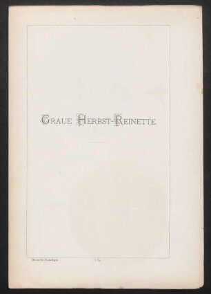 I. 87. Graue Herbst-Reinette