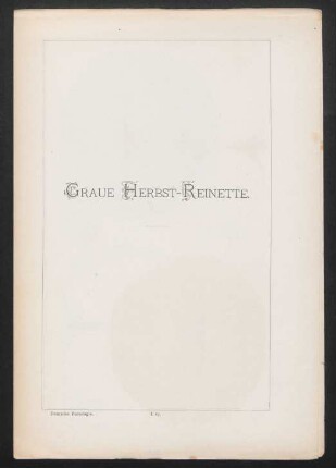 I. 87. Graue Herbst-Reinette