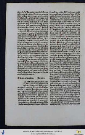 Dominica xiii. post festum trinitatis.