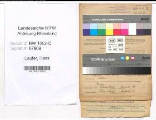 Entnazifizierung Hans Laufer, geb. 08.12.1902 (Vertreter)