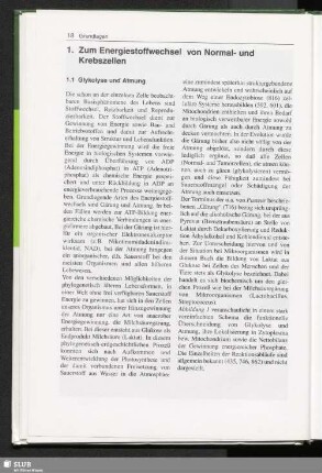 1. Zum Energiestoffwechsel von Normal- und Krebszellen