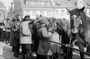 Biberach: Pferdemarkt, Reihe Pferde