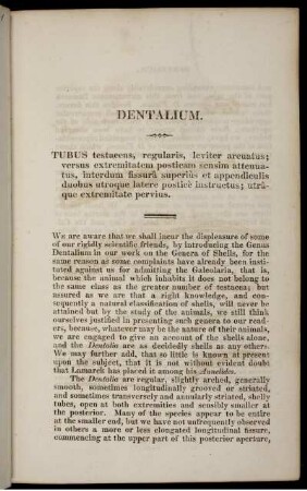Dentalium. [bis] Bellerophon.