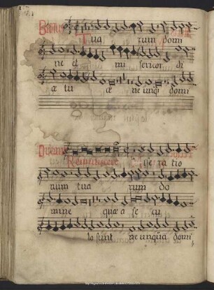 Stoltzer, Thomas: Reminiscere