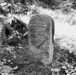 Grenzsteine; Oberzent, Weißtannen (Hirschhorner Höhe, im ''Bauwald'')