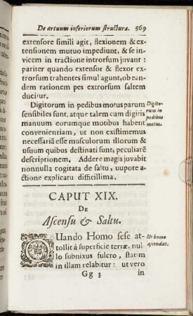 Caput XIX. De Ascensu & Saltu.