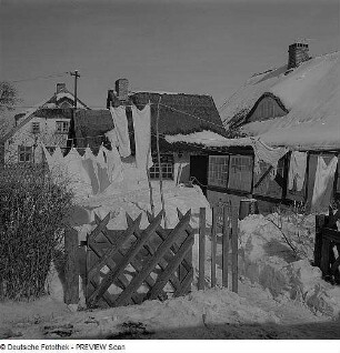 Wintertag auf Hiddensee