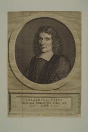 Gerard de Vries