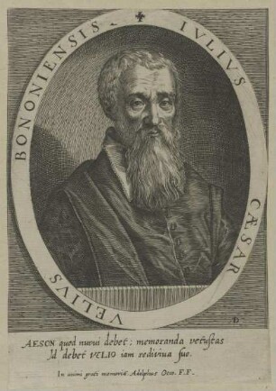 Bildnis des Julius Caesar Velius